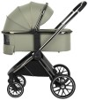 Коляска 2 в 1 Pituso Mayla Misty Mood