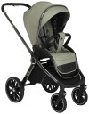 Коляска 2 в 1 Pituso Mayla Misty Mood