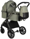 Коляска 2 в 1 Pituso Mayla Misty Mood