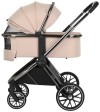 Коляска 2 в 1 Pituso Mayla Beige