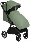 Коляска прогулочная Pituso Matrix Emerald mood