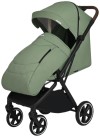 Коляска прогулочная Pituso Matrix Emerald mood