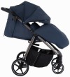 Коляска прогулочная Pituso Emma Navy Blue