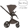 Коляска 2 в 1 Anex Flo Browny