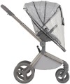 Коляска 2 в 1 Anex Flo Frossy