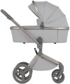 Коляска 2 в 1 Anex Flo Frossy