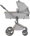 Коляска 2 в 1 Anex Flo Frossy