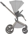 Коляска 2 в 1 Anex Flo Frossy