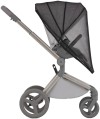 Коляска 2 в 1 Anex Flo Frossy