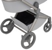 Коляска 2 в 1 Anex Flo Frossy