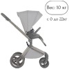Коляска 2 в 1 Anex Flo Frossy