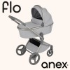 Коляска 2 в 1 Anex Flo Frossy