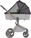 Коляска 2 в 1 Anex Flo Frossy