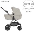 Коляска 2в1 Anex IQ Soya