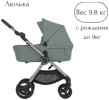 Коляска 2в1 Anex IQ Olly