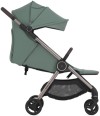 Коляска 2в1 Anex IQ Olly