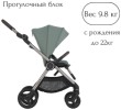 Коляска 2в1 Anex IQ Olly
