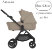 Коляска 2в1 Anex IQ Honey