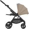 Коляска 2в1 Anex IQ Honey