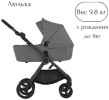 Коляска 2в1 Anex IQ Lune