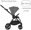 Коляска 2в1 Anex IQ Lune