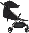 Коляска 2в1 Anex IQ Darke