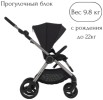 Коляска 2в1 Anex IQ Darke