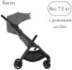 Коляска 2в1 Anex IQ Loft