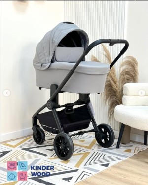 Коляска 2 в 1 Rant Basic Energy Grey 2024