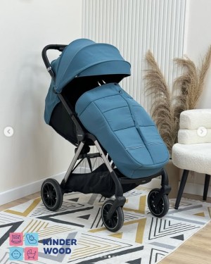 Коляска CARRELLO Delta Sky Blue