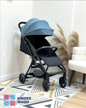 Коляска Graco Myavo Stormy