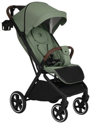 Коляска прогулочная Pituso Matrix Emerald mood