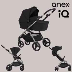 Коляска 2в1 Anex IQ Darke