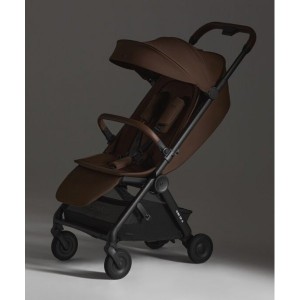 Коляска Anex AIR-Q Buggy Doppio