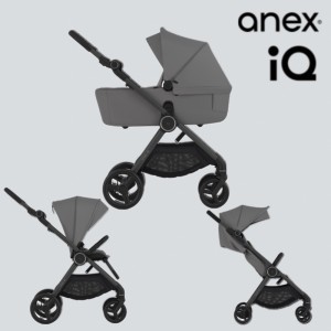 Коляска 2в1 Anex IQ Loft